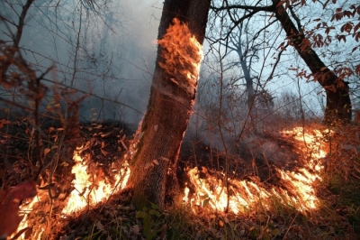 В зоне лесного пожара дежурит аварийная служба «Газпром газораспределение Йошкар-Ола»
